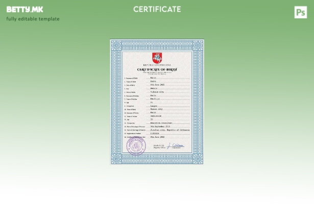 Модерен стил на Литванија, шаблон за шаблон PSD од извод од матична книга на род